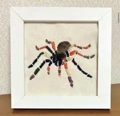 タランチュラ 刺繍アートフレーム