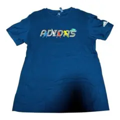 ビッグ Tシャツ