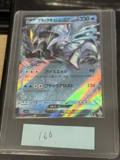 ブラックキュレム EX 230 HP