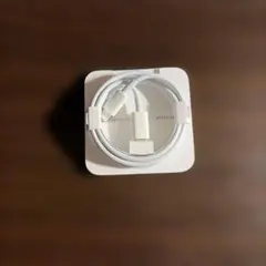 Apple Lightning - USB type Cケーブル