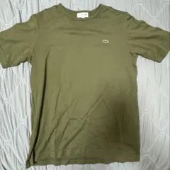 LACOSTE Tシャツ カーキ CLASSIC FIT