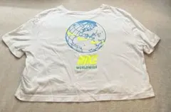 NIKE スポーツウェア ワールドワイド クロップドTシャツ ウィメンズ　L