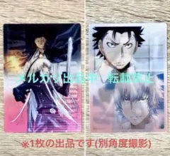 家庭教師ヒットマンREBORN！ XANXUS スクアーロ 箔カード 家庭教師ヒットマンREBORN! 箔カードコレクション XANXUS スクアーロ