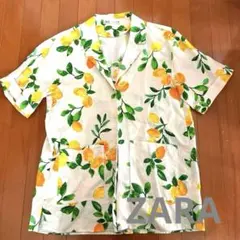 Item thumbnail for item 92618a40-f5a9-4508-8bd7-5fd44ef93388