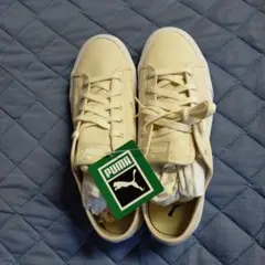 Item thumbnail for item baa843ee-cc4f-43d4-9fb8-2b225e6bfc19