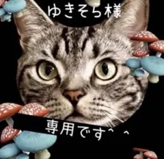 ゆきそら様 専用