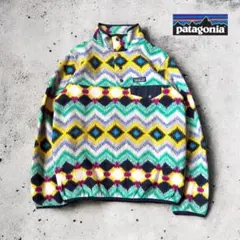 ✨希少柄 ✨パタゴニア ネイティブ柄 シンチラスナップT S