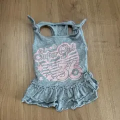 MIMILE 犬服 Lサイズ フリル付きワンピース グレー