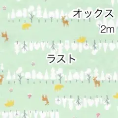 ラスト 2m 北欧の森 グリーン オックス