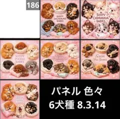 オーダーページ パネル 色々6犬種 8.3.14