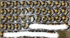 Item thumbnail for item fdfd3e97-b50c-413a-8daf-16241c3a2bbf