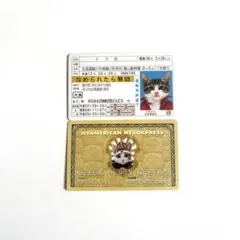 Item thumbnail for item d38bf3dc-29ce-4745-85d2-a95daa2c64f1