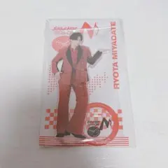 宮舘涼太 アクリルスタンドSnowMan Dome Tour ON