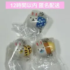 ウサコレフレンズ つまんでつなげてますこっと ガチャガチャ 水玉 ヒョウ オヤジ