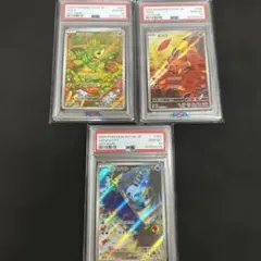 AR PSA10 3点セット マラカッチ,イイネイヌ,ポワルンたいようのすがた