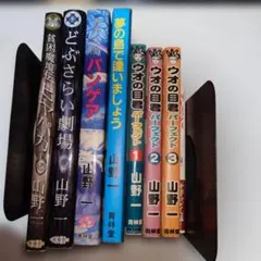 Item thumbnail for item 9520e93b-3d73-4911-9e58-8b1d881250d8