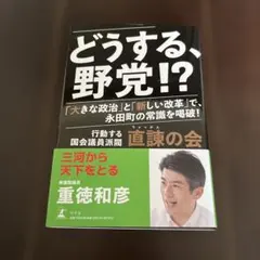 どうする、野党!? 「大きな政治」と「新しい改革」で、永田町の常識を喝破!