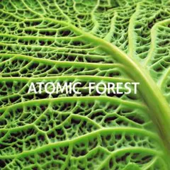 廃盤 西村麻聡 ATOMIC FOREST (FENCE OF DEFENSE)