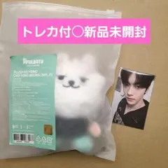 2025年最新】txtスビンぬいぐるみの人気アイテム - メルカリ