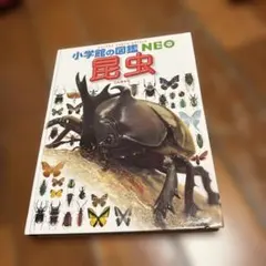 小学校の図鑑NEO 昆虫