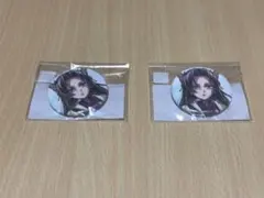 胡蝶カナエ　缶バッジ　2個セット