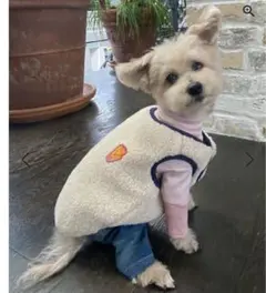 Item thumbnail for item 9c33f337-ad75-4315-8aa2-c52db64b4bc6