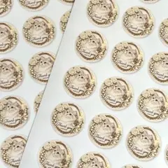 白薔薇猫のThank youシール｜40mm丸 48枚｜上品アイボリー