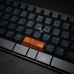 Item thumbnail for item 12bfe508-1612-4e30-b0bf-137d2df9e78d