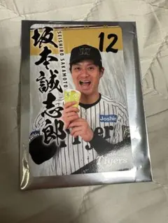 Item thumbnail for item 788adb80-2a02-4d98-be20-292a535059e9