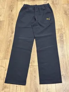 Item thumbnail for item 3e13bc06-7c96-4ece-9828-44d8accc0544