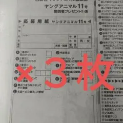 ヤングアニマル☆抽プレ懸賞応募券5セット☆美波那緒 榎原依那☆サイン