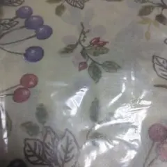 Item thumbnail for item f2b95e27-1f08-4716-9dbd-b8de922ba514