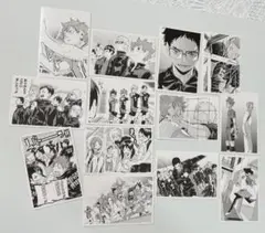 ハイキュー!! 10thクロニクル フォトカード 烏野高校