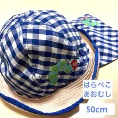 美品はらぺこあおむし ハット帽子子どもキッズ日除け付き取り外し可能50cm麦わら