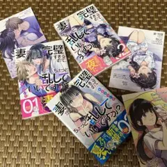 妻が完璧すぎるので、ちょっと乱していいですか? 1.2.3 巻 セット
