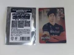 ウルフドッグス名古屋 選手クリアカード 18上林直澄選手 - メルカリ