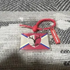 鹿島アントラーズ エンブレム キーホルダー