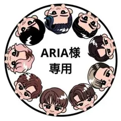ARIA様専用