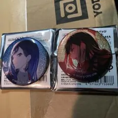 2025年最新】白石杏 グリッター缶バッジの人気アイテム - メルカリ