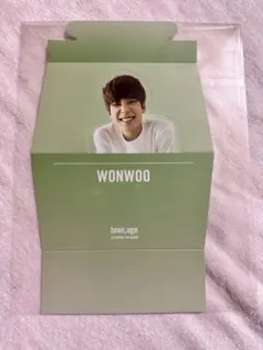 SEVENTEEN teen,age 封入 ウォヌ