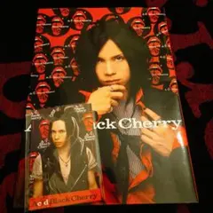 2025年最新】アシッドブラックチェリーポストカードの人気