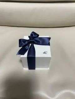 Something Blue サムシングブルー リング ケース ショッパー付き 