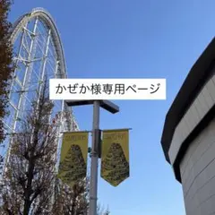 かぜか様専用ページ