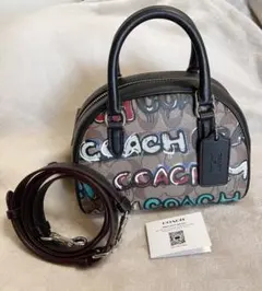 COACH X MINT SERF ミントサーフ ショルダーバッグ シグネチャー