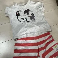 天王寺動物園 動物プリント パジャマセット