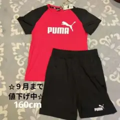 【新品】プーマ　セットアップ　Tシャツ　半パン