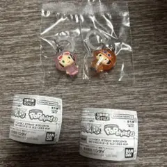 ワンピースめじるしアクセサリー　ニコ・ロビン　ポートガス・D・エース　2点セット