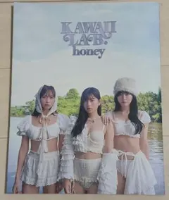 KAWAII LAB honey 雑誌 写真集 ムック本
