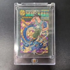 psa5】253ドラゴンボールカードダス ビジュアルアドベンチャー 孫悟空