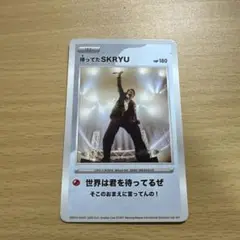 SKRYU ハダカード
